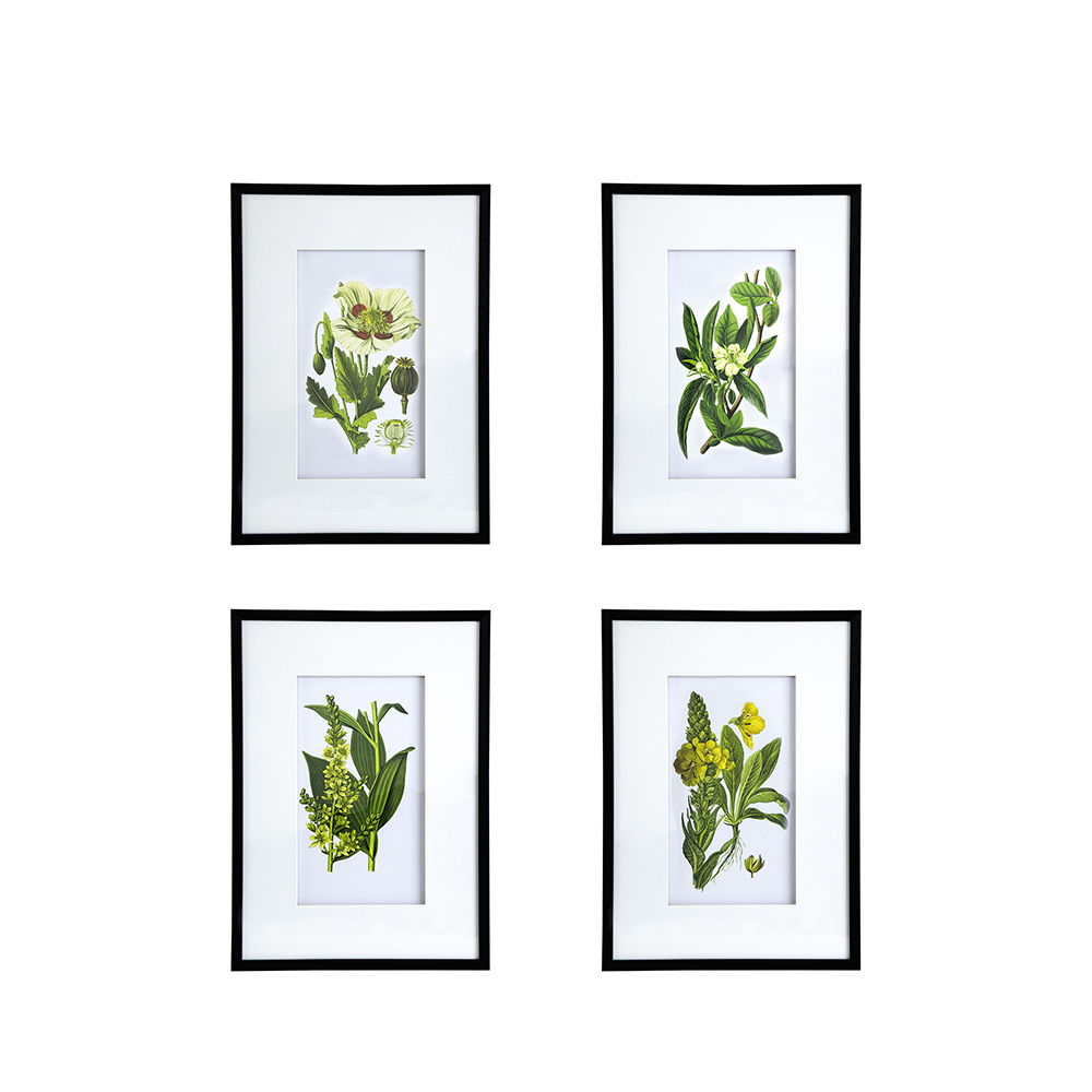 Botanical Flower Wall Art, Home Decor For Living Room, Dining Room, Bedroom, Hallway (Set of 4) - White / Blue