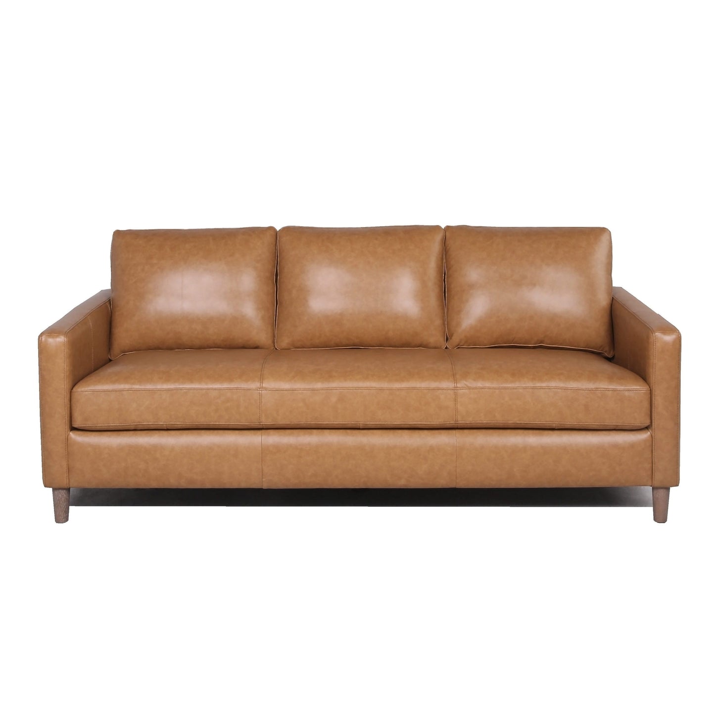 Modern & Contemporary Leather Sofa